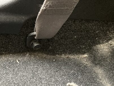 シートベルト清掃